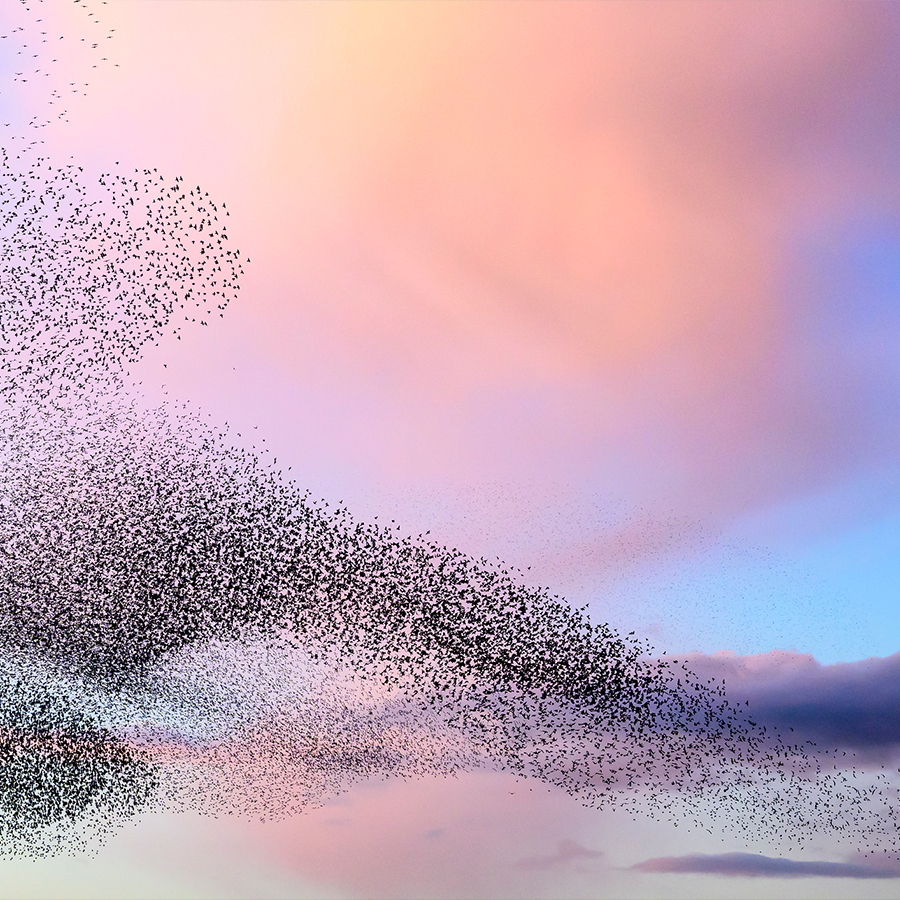 cloud migration becomes critical